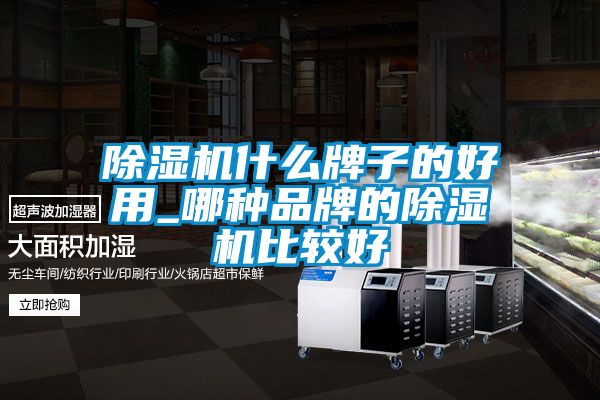 欧美成色手机在线观看 除湿机什么牌子的好用_哪种品牌的除湿机比较好