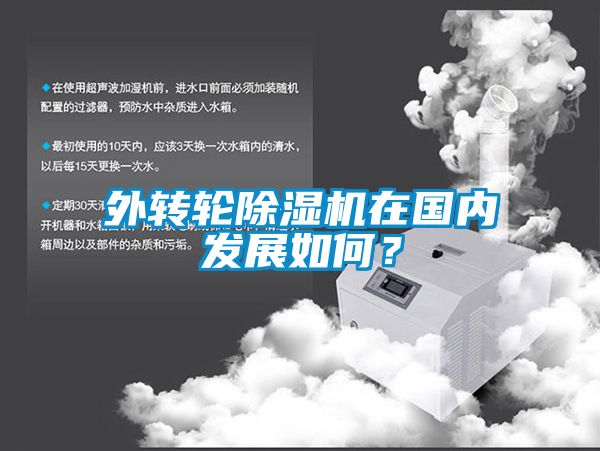 欧美成色手机在线观看 外转轮除湿机在国内发展如何？