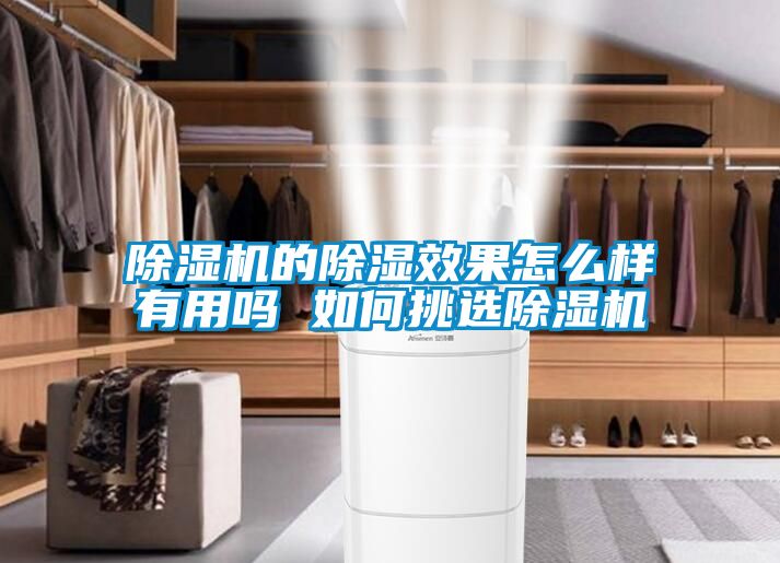 欧美成色手机在线观看 除湿机的除湿效果怎么样有用吗 如何挑选除湿机