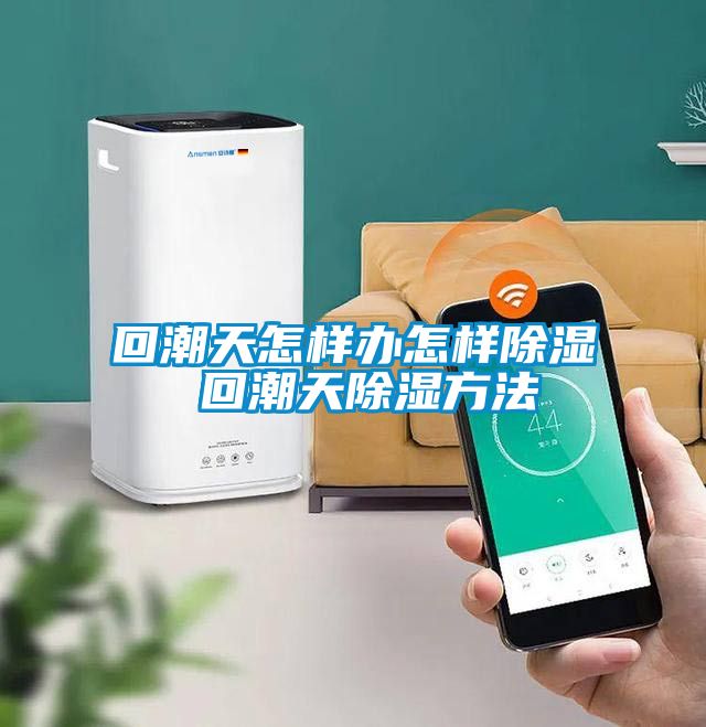 欧美成色手机在线观看 回潮天怎样办怎样除湿 回潮天除湿方法
