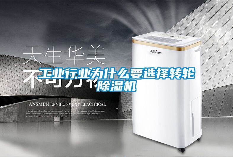 欧美黄色性爱视频网站 工业行业为什么要选择转轮除湿机