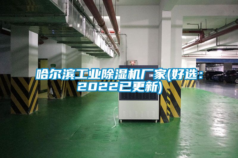 欧美黄色电影在线播放 哈尔滨工业除湿机厂家(好选：2022已更新)