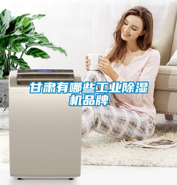 欧美成色手机在线观看 甘肃有哪些工业除湿机品牌