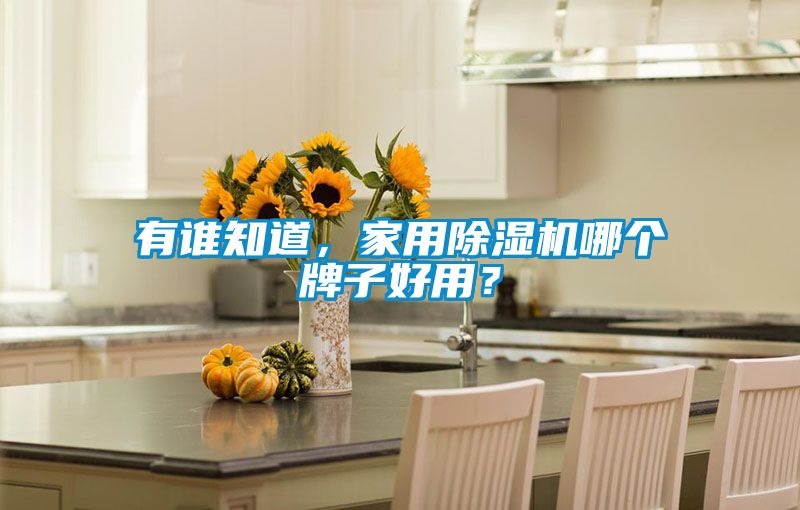 欧美黄色电影在线播放 有谁知道，家用除湿机哪个牌子好用？