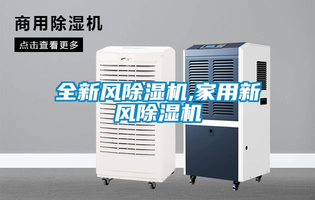 欧美黄色电影在线播放 全新风除湿机,家用新风除湿机