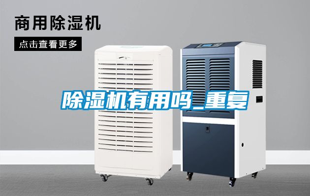 欧美黄色电影在线播放 除湿机有用吗_重复