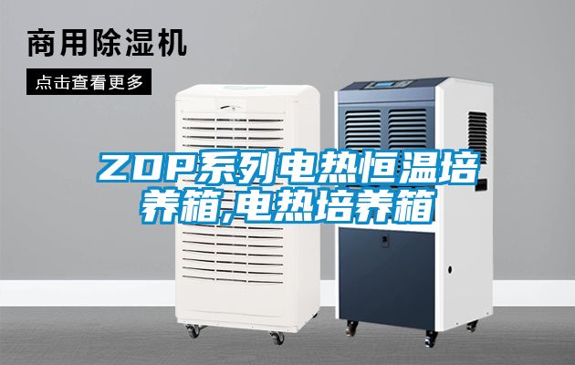 欧美黄色性爱视频网站 ZDP系列电热恒温培养箱,电热培养箱