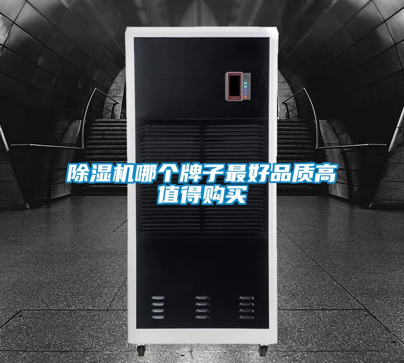 欧美黄色性爱视频网站 除湿机哪个牌子最好品质高值得购买
