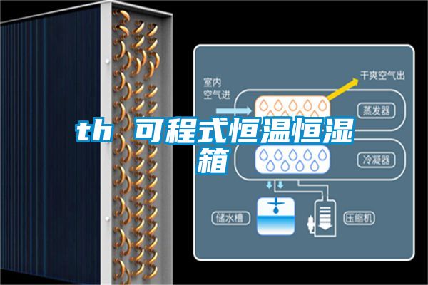 欧美黄色电影在线播放 th 可程式恒温恒湿箱