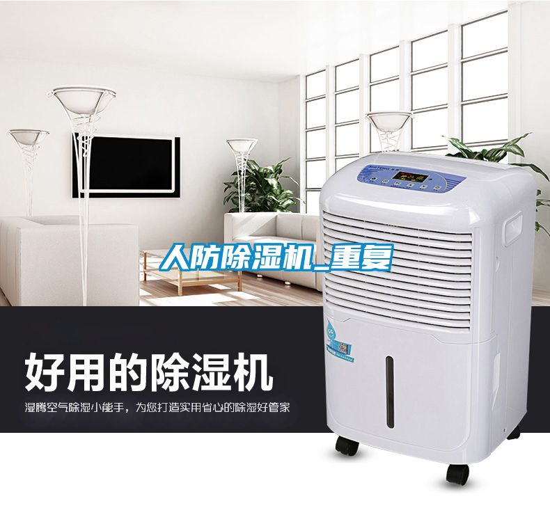 欧美黄色性爱视频网站 人防除湿机_重复