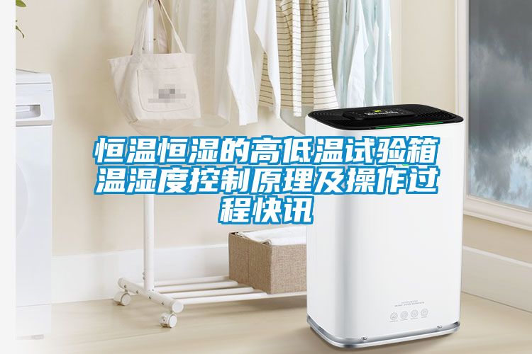欧美黄色电影在线播放 恒温恒湿的高低温试验箱温湿度控制原理及操作过程快讯