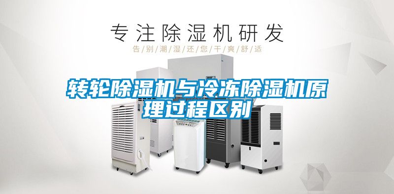 欧美黄色性爱视频网站 转轮除湿机与冷冻除湿机原理过程区别