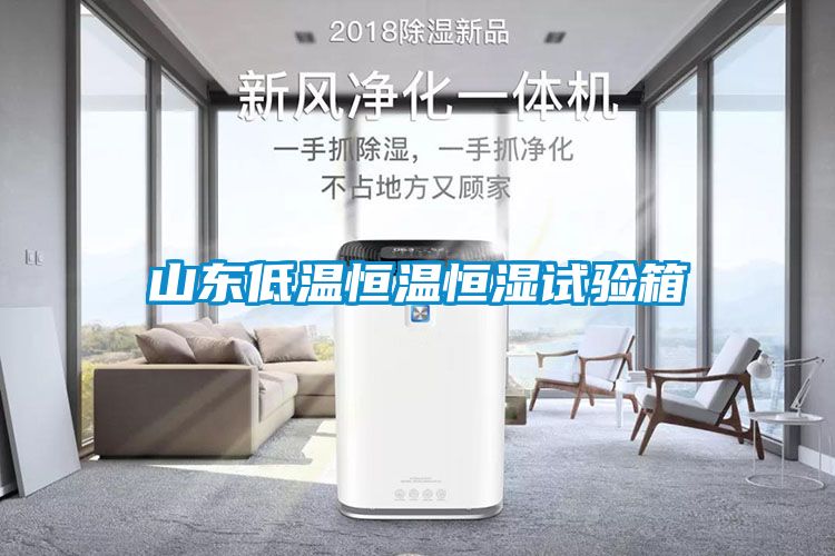 欧美黄色性爱视频网站 山东低温恒温恒湿试验箱