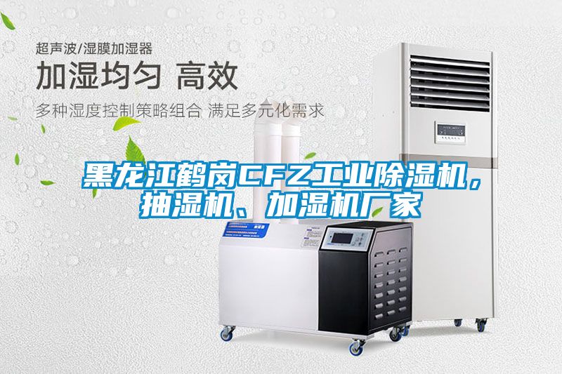 欧美黄色性爱视频网站 黑龙江鹤岗CFZ工业除湿机，抽湿机、加湿机厂家