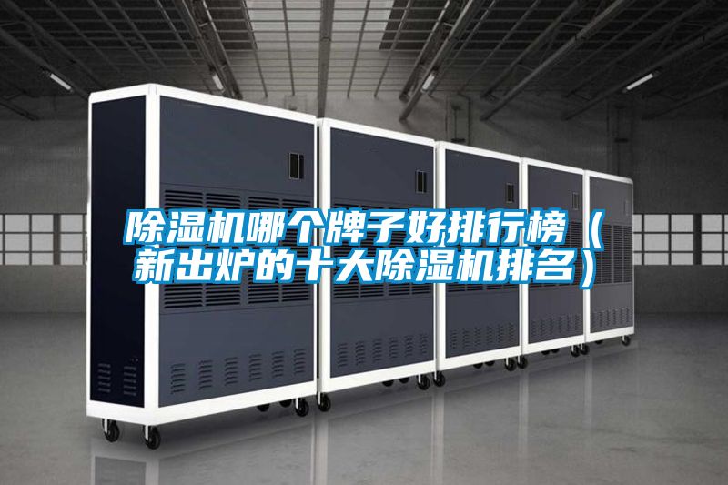 欧美黄色电影在线播放 除湿机哪个牌子好排行榜（新出炉的十大除湿机排名）
