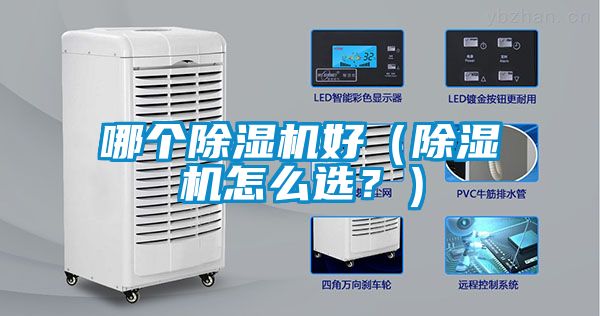 欧美成色手机在线观看 哪个除湿机好（除湿机怎么选？）