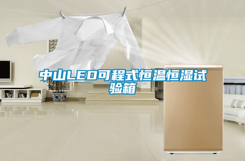 欧美黄色性爱视频网站 中山LED可程式恒温恒湿试验箱