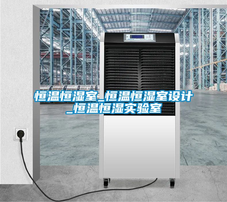 欧美黄色电影在线播放 恒温恒湿室_恒温恒湿室设计_恒温恒湿实验室