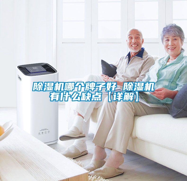 欧美黄色性爱视频网站 除湿机哪个牌子好 除湿机有什么缺点【详解】