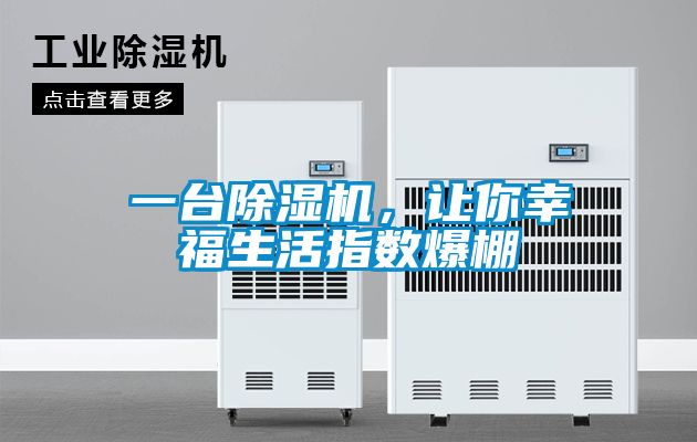 欧美成色手机在线观看 一台除湿机，让你幸福生活指数爆棚