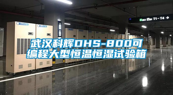 欧美黄色电影在线播放 武汉科辉DHS-800可编程大型恒温恒湿试验箱