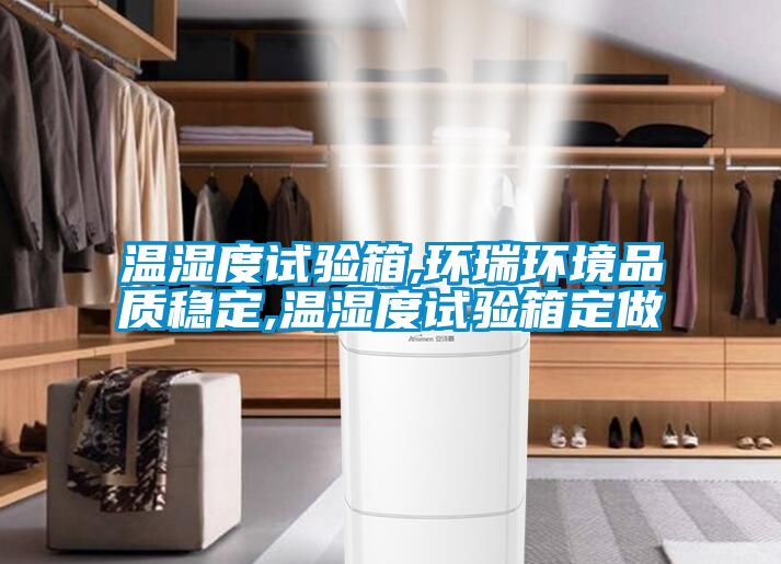 欧美黄色性爱视频网站 温湿度试验箱,环瑞环境品质稳定,温湿度试验箱定做