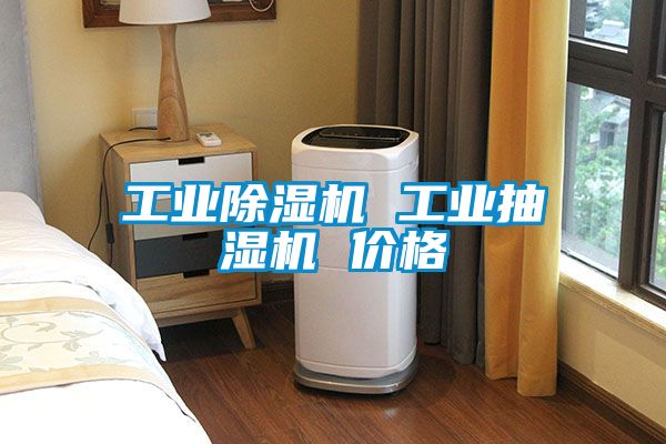 欧美黄色电影在线播放 工业除湿机 工业抽湿机 价格