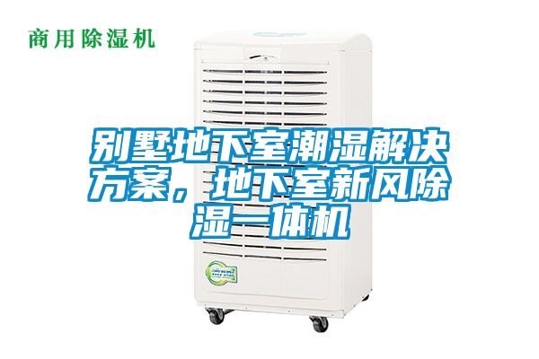 欧美黄色电影在线播放 别墅地下室潮湿解决方案，地下室新风除湿一体机