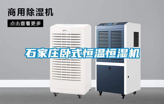 欧美黄色性爱视频网站 石家庄卧式恒温恒湿机