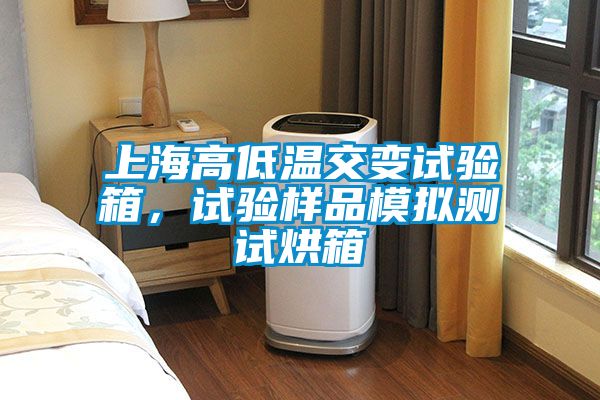 欧美成色手机在线观看 上海高低温交变试验箱，试验样品模拟测试烘箱