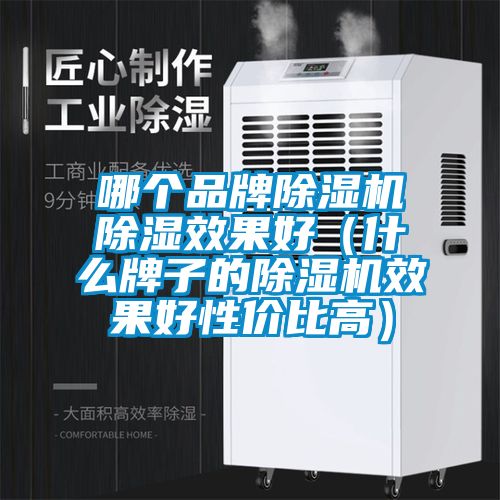 欧美黄色电影在线播放 哪个品牌除湿机除湿效果好（什么牌子的除湿机效果好性价比高）
