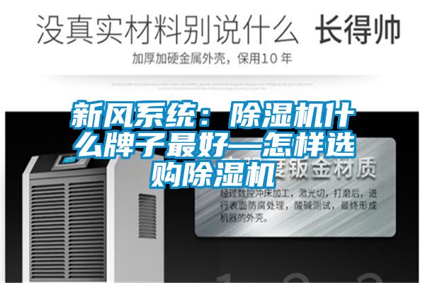 欧美黄色性爱视频网站 新风系统：除湿机什么牌子最好—怎样选购除湿机