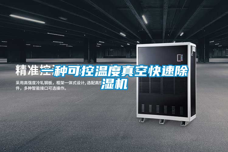 欧美黄色电影在线播放 一种可控温度真空快速除湿机