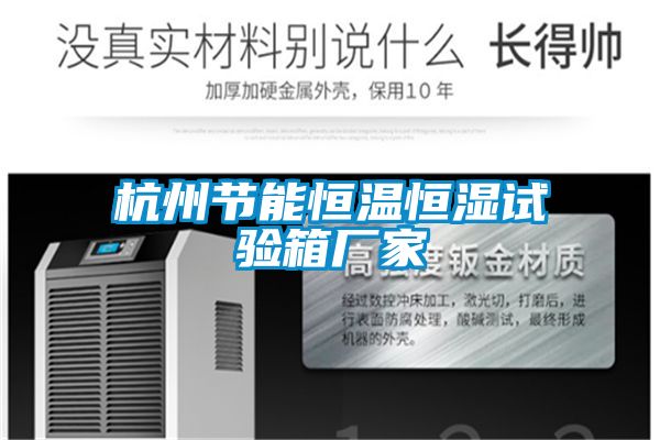 欧美黄色电影在线播放 杭州节能恒温恒湿试验箱厂家