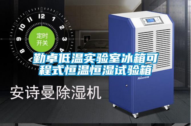 欧美黄色电影在线播放 勤卓低温实验室冰箱可程式恒温恒湿试验箱