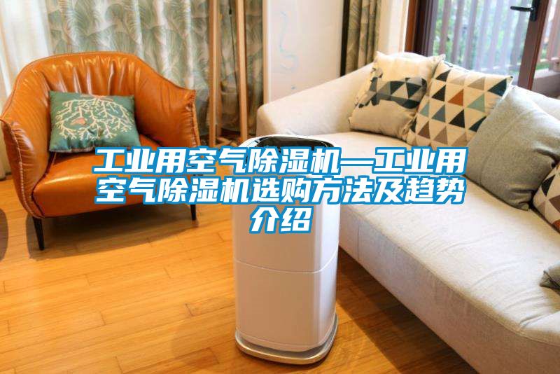 欧美黄色性爱视频网站 工业用空气除湿机—工业用空气除湿机选购方法及趋势介绍