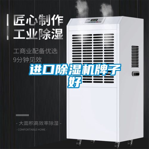 欧美黄色电影在线播放 进口除湿机牌子好