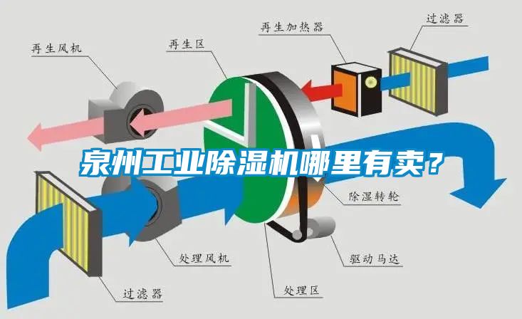 欧美成色手机在线观看 泉州工业除湿机哪里有卖？