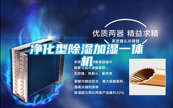 欧美黄色电影在线播放 净化型除湿加湿一体机