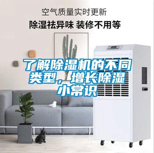 欧美成色手机在线观看 了解除湿机的不同类型，增长除湿小常识