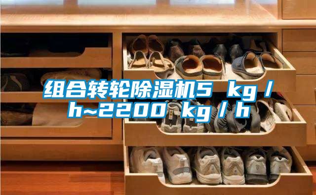 欧美黄色电影在线播放 组合转轮除湿机5 kg／h~2200 kg／h