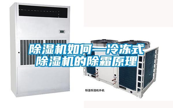 欧美黄色性爱视频网站 除湿机如何—冷冻式除湿机的除霜原理