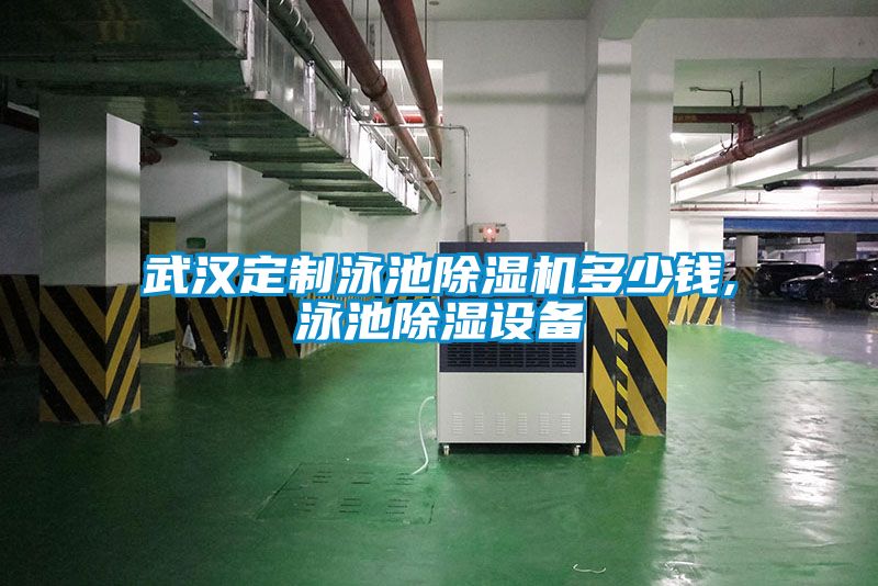 欧美黄色性爱视频网站 武汉定制泳池除湿机多少钱,泳池除湿设备