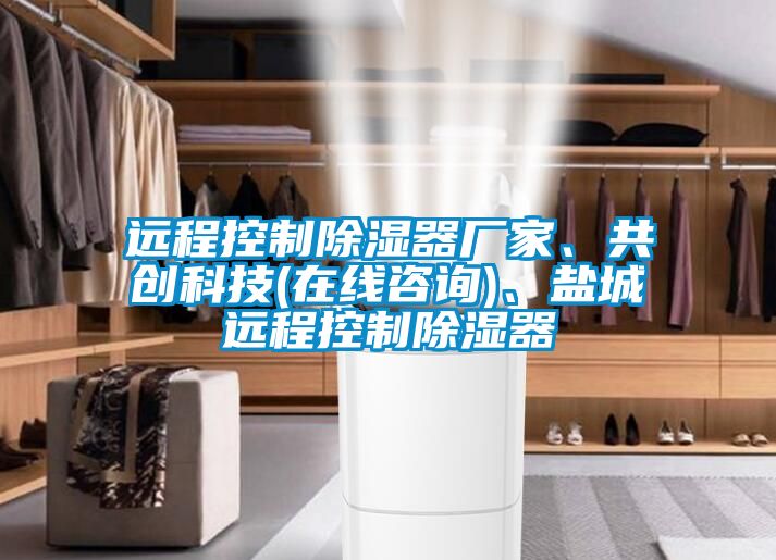 欧美成色手机在线观看 远程控制除湿器厂家、共创科技(在线咨询)、盐城远程控制除湿器