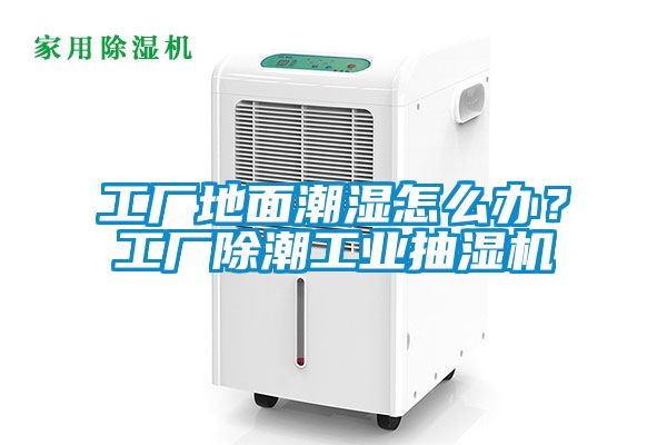 欧美黄色电影在线播放 工厂地面潮湿怎么办？工厂除潮工业抽湿机