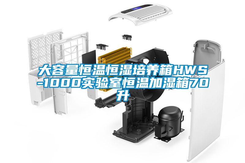 欧美成色手机在线观看 大容量恒温恒湿培养箱HWS-1000实验室恒温加湿箱70升