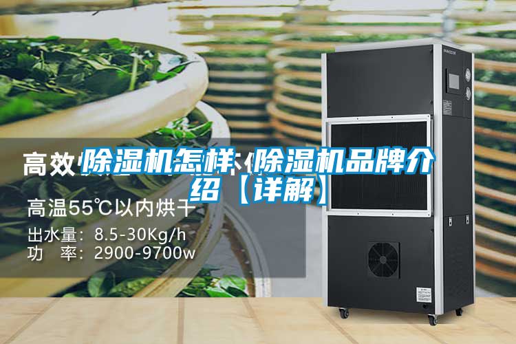 欧美黄色电影在线播放 除湿机怎样 除湿机品牌介绍【详解】