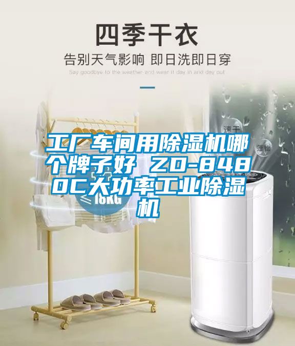 欧美黄色性爱视频网站 工厂车间用除湿机哪个牌子好 ZD-8480C大功率工业除湿机