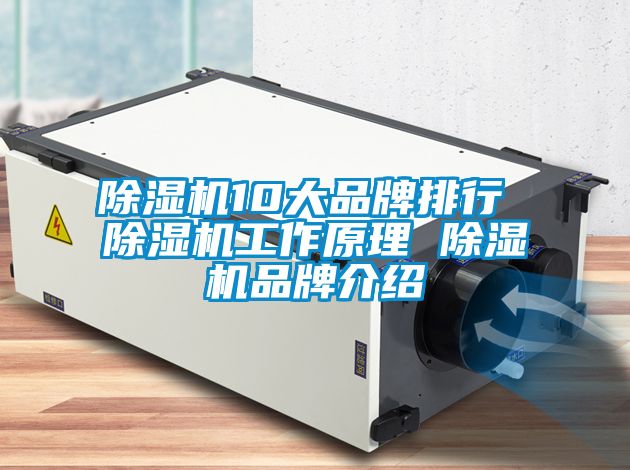欧美黄色电影在线播放 除湿机10大品牌排行 除湿机工作原理 除湿机品牌介绍
