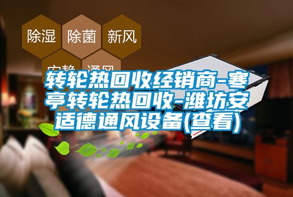 欧美黄色电影在线播放 转轮热回收经销商-寒亭转轮热回收-潍坊安适德通风设备(查看)